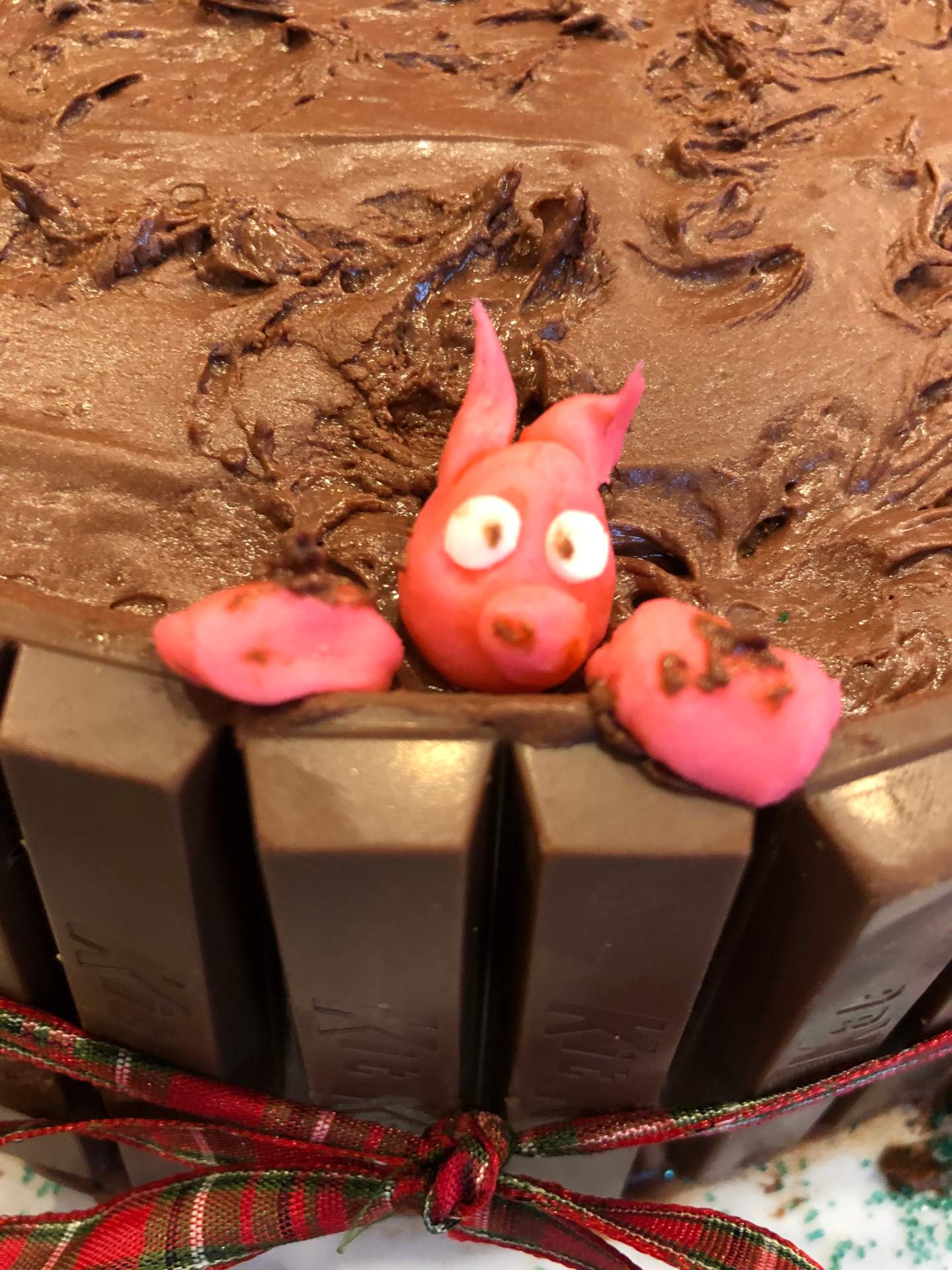 Chocolate piggy mud bath cake, close up on fondant piggy